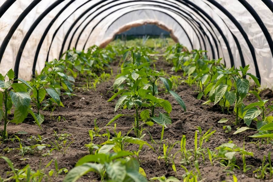 Прокатка круглой трубы